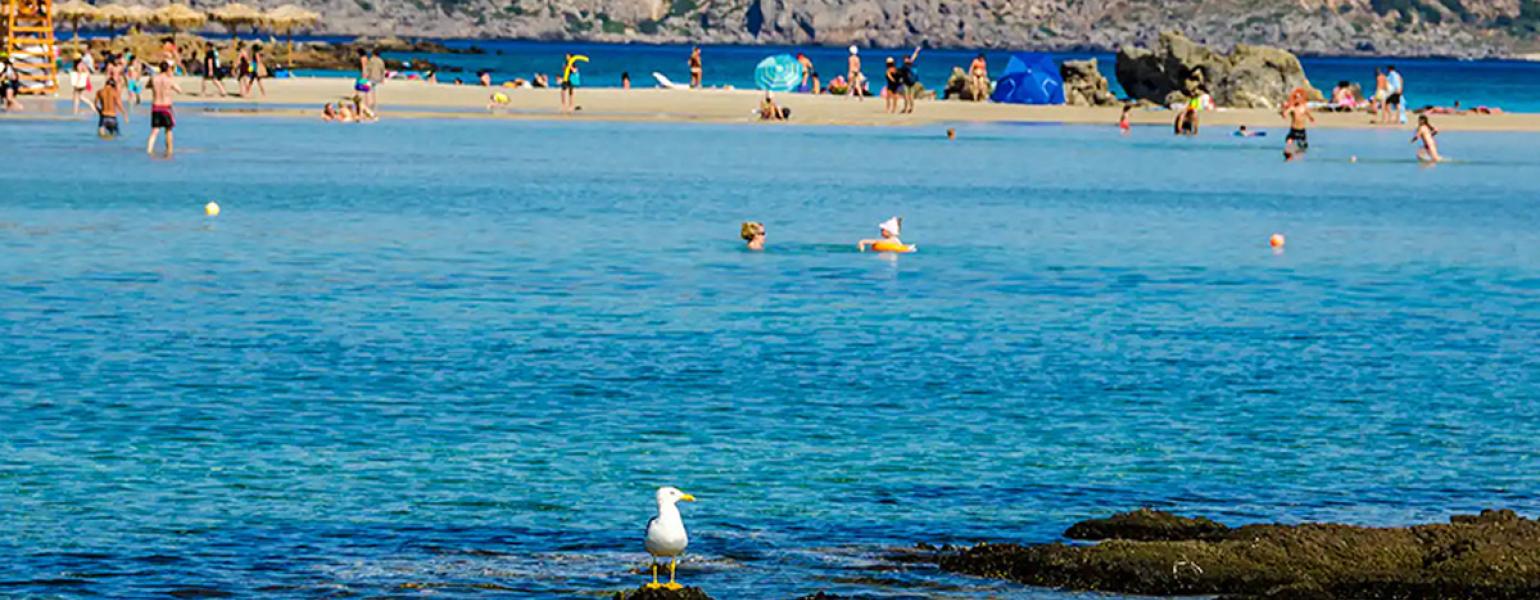 Elafonisi Excursion Tour