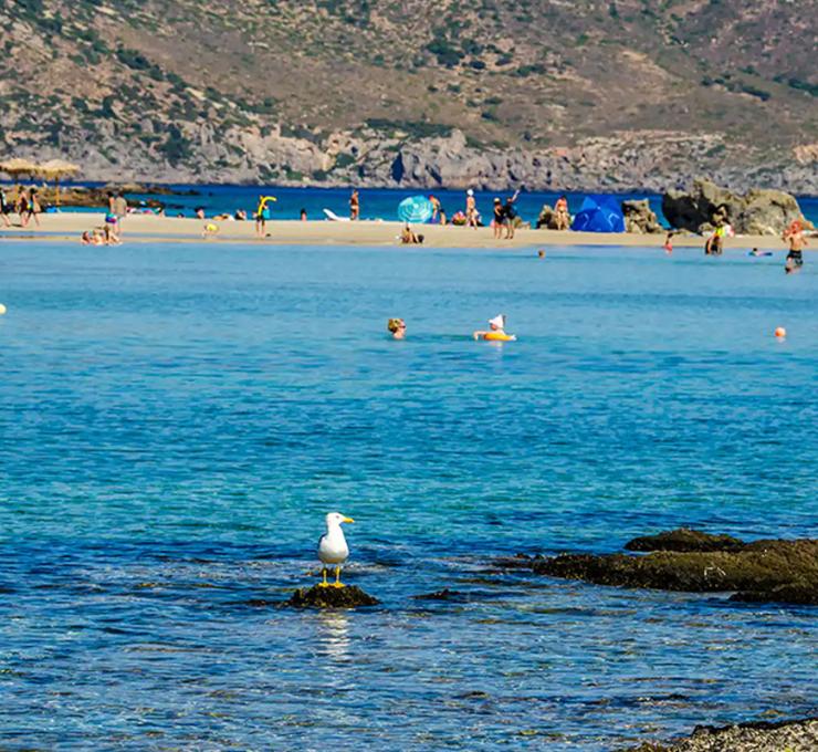 Elafonisi Excursion Tour